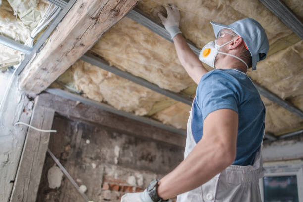 Best Attic Insulation Installation  in Cleona, PA